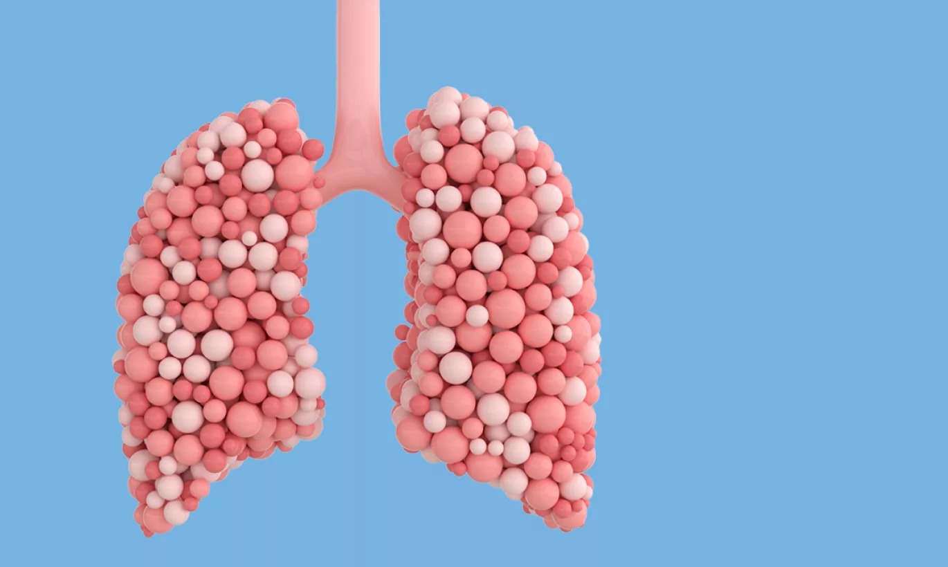 

<!-- THEME DEBUG -->
<!-- THEME HOOK: 'field' -->
<!-- FILE NAME SUGGESTIONS:
   ▪️ field--node--title--community-event.html.twig
   ✅ field--node--title.html.twig
   ▪️ field--node--community-event.html.twig
   ▪️ field--title.html.twig
   ▪️ field--string.html.twig
   ▪️ field.html.twig
-->
<!-- 💡 BEGIN CUSTOM TEMPLATE OUTPUT from 'themes/custom/whokap/templates/field/field--node--title.html.twig' -->
World Lung Day 2025
<!-- END CUSTOM TEMPLATE OUTPUT from 'themes/custom/whokap/templates/field/field--node--title.html.twig' -->

