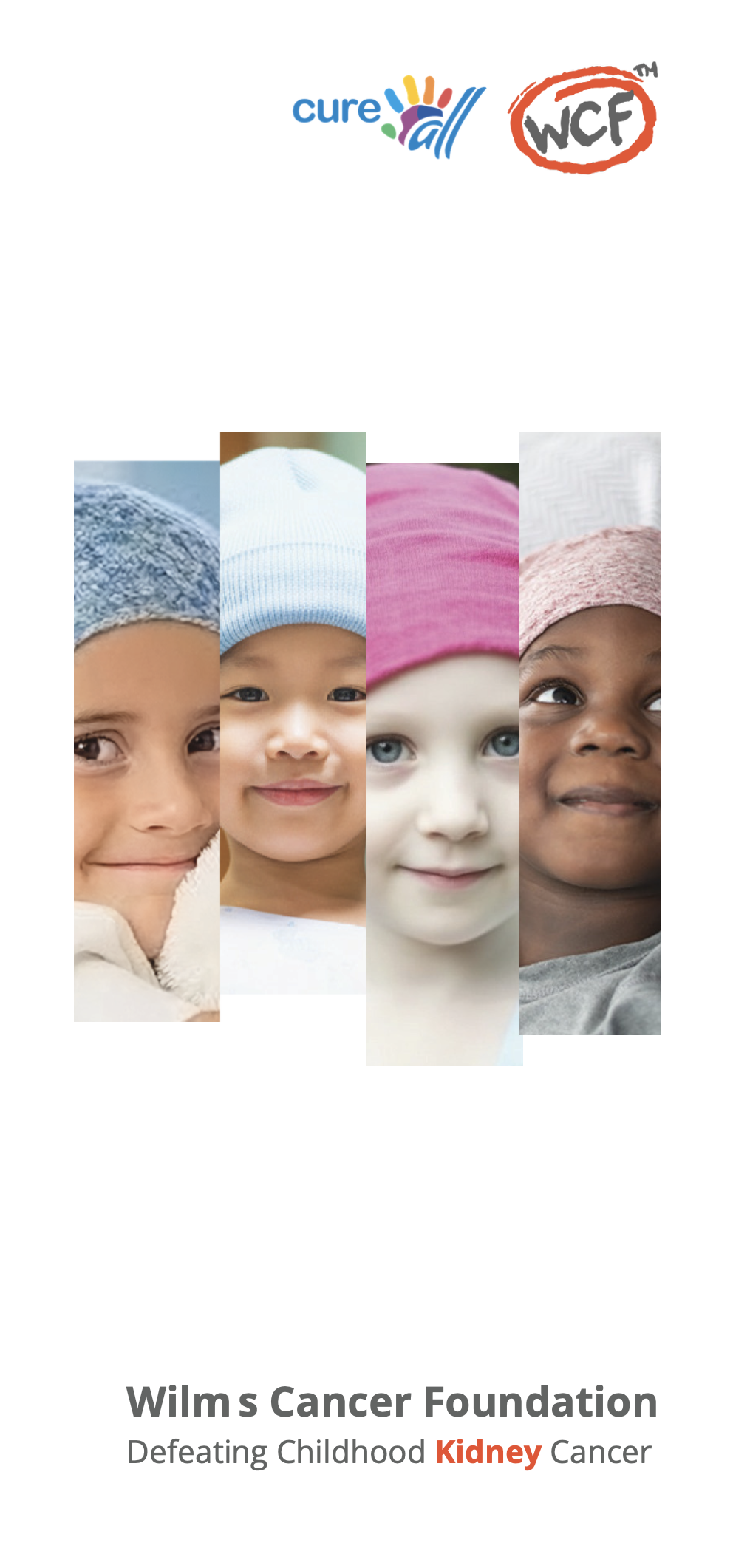 

<!-- THEME DEBUG -->
<!-- THEME HOOK: 'field' -->
<!-- FILE NAME SUGGESTIONS:
   ▪️ field--node--title--pin.html.twig
   ✅ field--node--title.html.twig
   ▪️ field--node--pin.html.twig
   ▪️ field--title.html.twig
   ▪️ field--string.html.twig
   ▪️ field.html.twig
-->
<!-- 💡 BEGIN CUSTOM TEMPLATE OUTPUT from 'themes/custom/whokap/templates/field/field--node--title.html.twig' -->
Pediatric Renal Cancer/ Childhood Kidney Cancer (Wilms): Overview and Support Services
<!-- END CUSTOM TEMPLATE OUTPUT from 'themes/custom/whokap/templates/field/field--node--title.html.twig' -->

