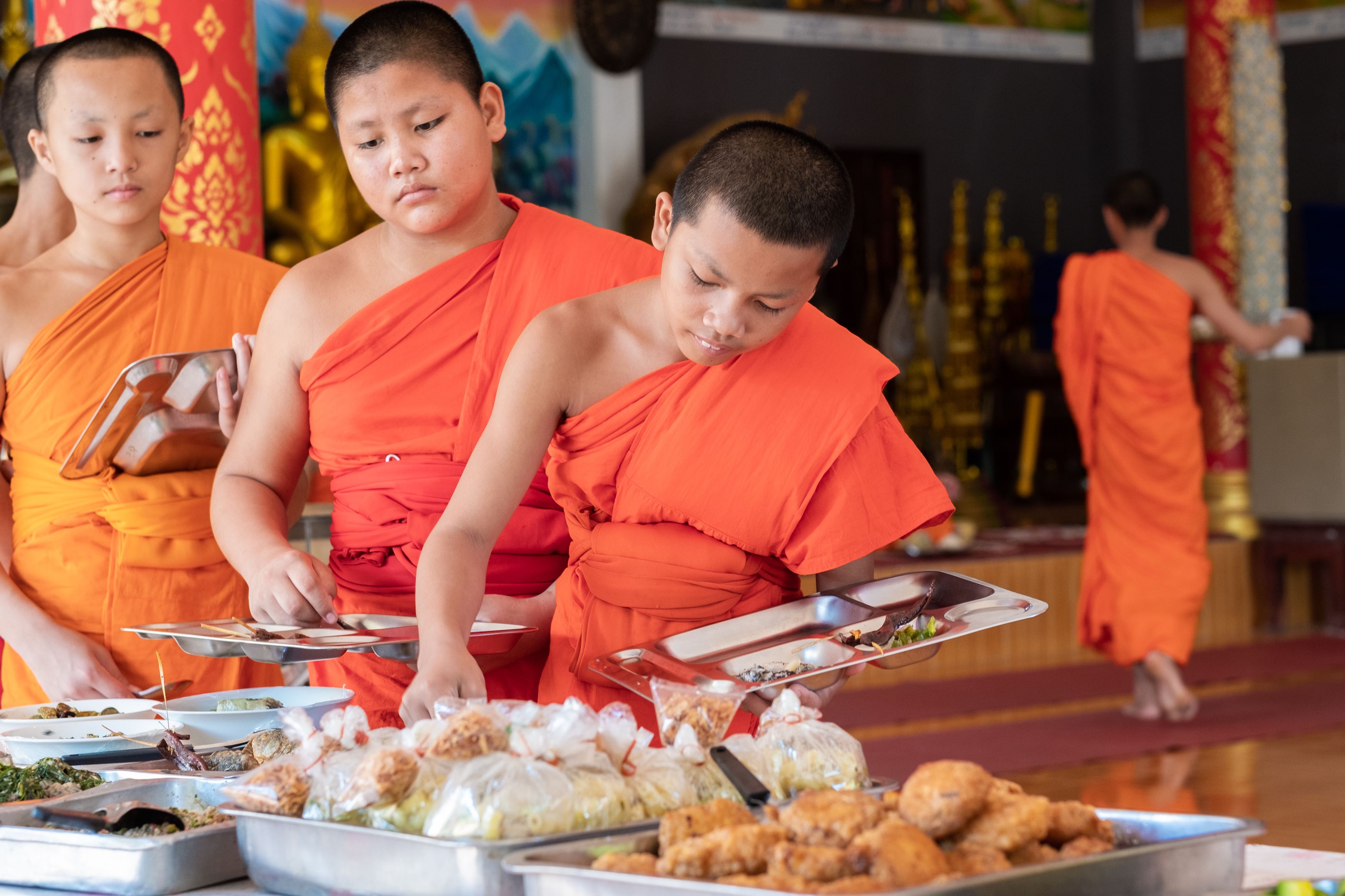 <!-- THEME DEBUG -->
<!-- THEME HOOK: 'field' -->
<!-- FILE NAME SUGGESTIONS:
   ▪️ field--node--title--news-and-events.html.twig
   ✅ field--node--title.html.twig
   ▪️ field--node--news-and-events.html.twig
   ▪️ field--title.html.twig
   ▪️ field--string.html.twig
   ▪️ field.html.twig
-->
<!-- 💡 BEGIN CUSTOM TEMPLATE OUTPUT from 'themes/custom/whokap/templates/field/field--node--title.html.twig' -->
WHO announces certification programme for trans fat elimination
<!-- END CUSTOM TEMPLATE OUTPUT from 'themes/custom/whokap/templates/field/field--node--title.html.twig' -->