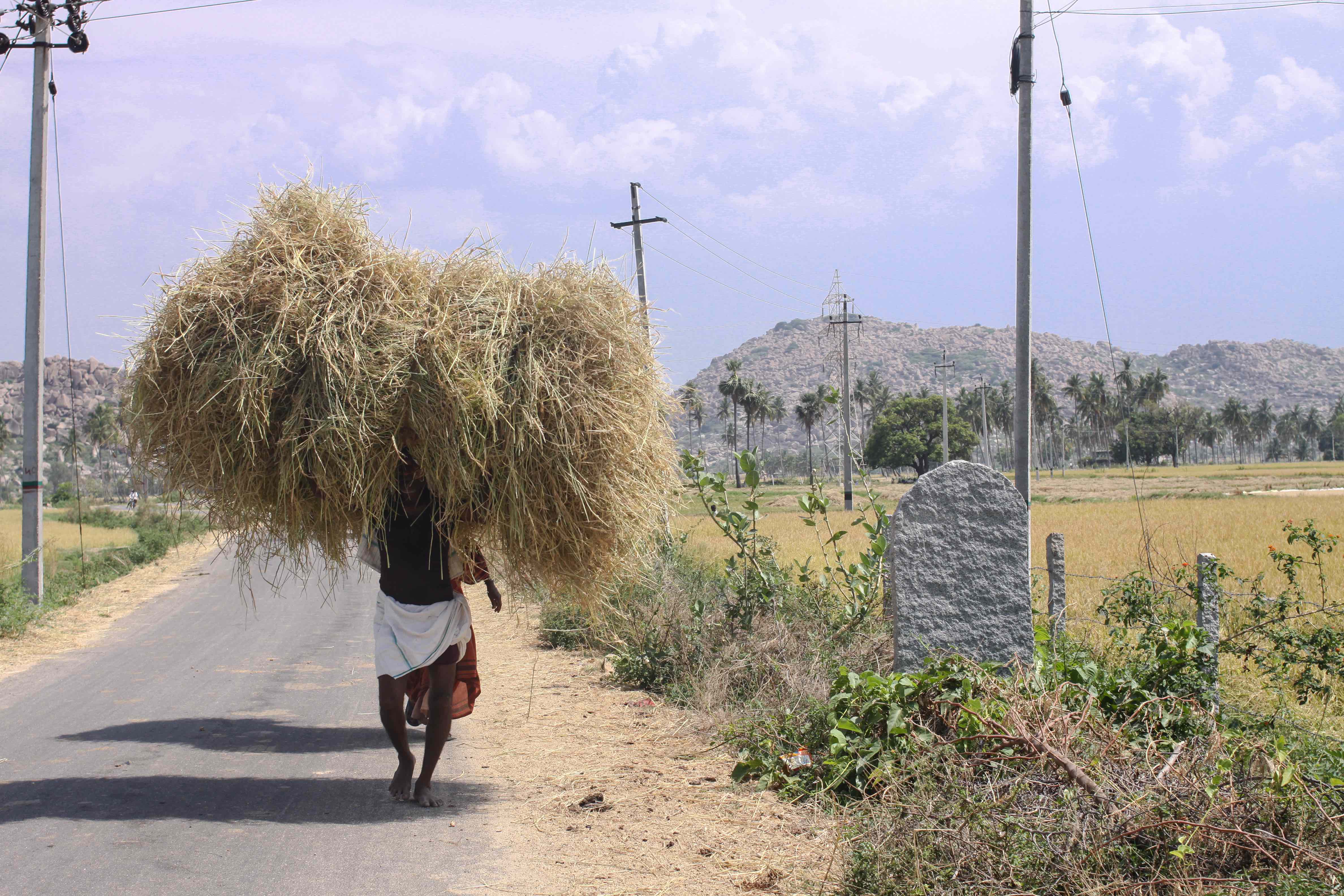 Climate Change and Labor: Impacts of Heat in the Workplace