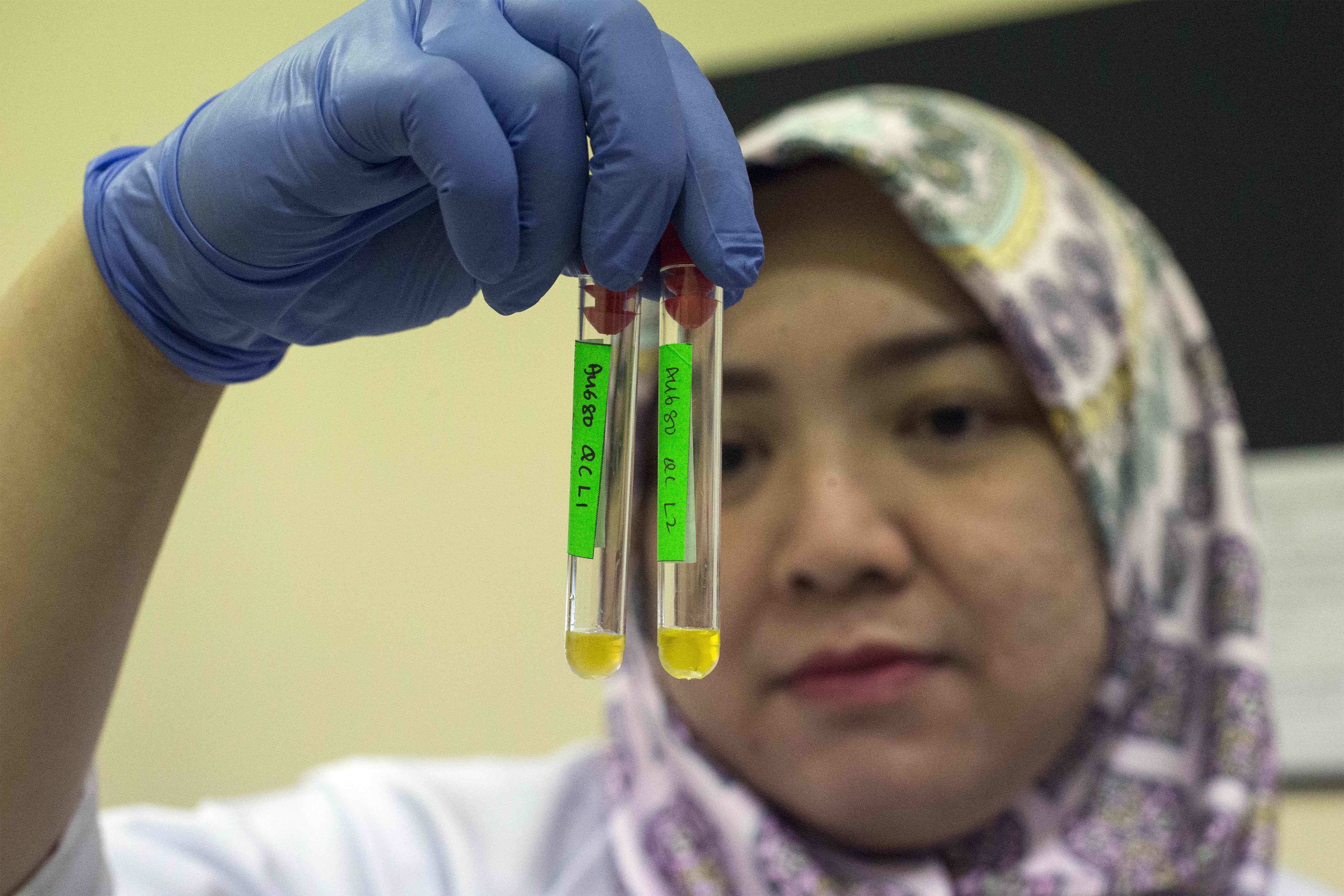 <!-- THEME DEBUG -->
<!-- THEME HOOK: 'field' -->
<!-- FILE NAME SUGGESTIONS:
   ▪️ field--node--title--pin.html.twig
   ✅ field--node--title.html.twig
   ▪️ field--node--pin.html.twig
   ▪️ field--title.html.twig
   ▪️ field--string.html.twig
   ▪️ field.html.twig
-->
<!-- 💡 BEGIN CUSTOM TEMPLATE OUTPUT from 'themes/custom/whokap/templates/field/field--node--title.html.twig' -->
Community-based health care, including outreach and campaigns, in the context of the COVID-19 pandemic
<!-- END CUSTOM TEMPLATE OUTPUT from 'themes/custom/whokap/templates/field/field--node--title.html.twig' -->