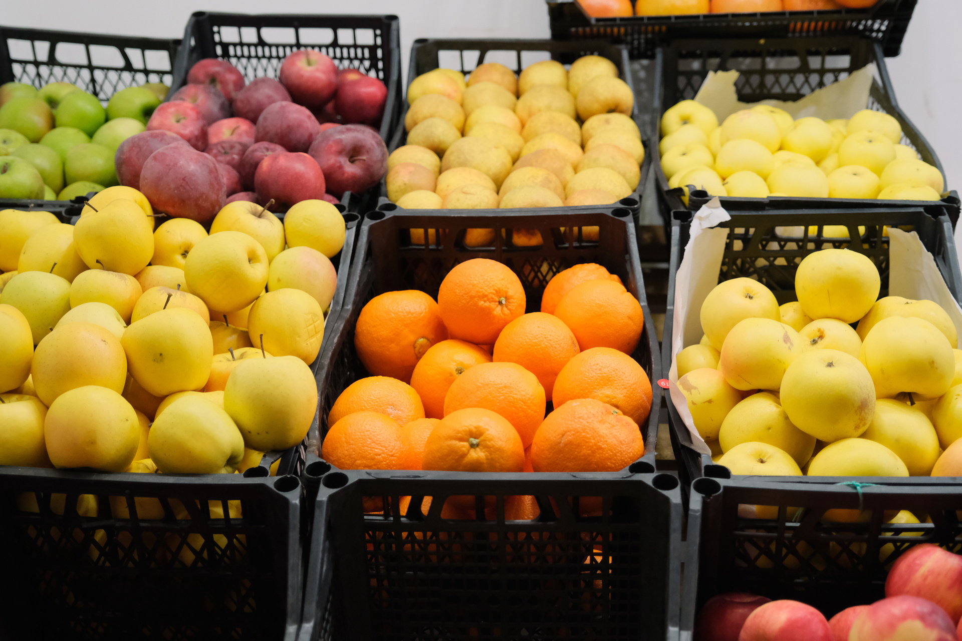 <!-- THEME DEBUG -->
<!-- THEME HOOK: 'field' -->
<!-- FILE NAME SUGGESTIONS:
   ▪️ field--node--title--news-and-events.html.twig
   ✅ field--node--title.html.twig
   ▪️ field--node--news-and-events.html.twig
   ▪️ field--title.html.twig
   ▪️ field--string.html.twig
   ▪️ field.html.twig
-->
<!-- 💡 BEGIN CUSTOM TEMPLATE OUTPUT from 'themes/custom/whokap/templates/field/field--node--title.html.twig' -->
Strategic Initiative for a Healthy and Sustainable Food Environment - WHO Compendium Report on Multisectoral Action
<!-- END CUSTOM TEMPLATE OUTPUT from 'themes/custom/whokap/templates/field/field--node--title.html.twig' -->