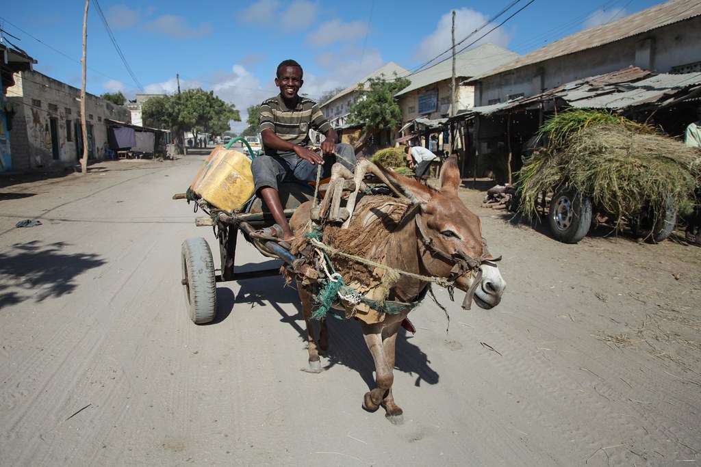 <!-- THEME DEBUG -->
<!-- THEME HOOK: 'field' -->
<!-- FILE NAME SUGGESTIONS:
   ▪️ field--node--title--pin.html.twig
   ✅ field--node--title.html.twig
   ▪️ field--node--pin.html.twig
   ▪️ field--title.html.twig
   ▪️ field--string.html.twig
   ▪️ field.html.twig
-->
<!-- 💡 BEGIN CUSTOM TEMPLATE OUTPUT from 'themes/custom/whokap/templates/field/field--node--title.html.twig' -->
Global Adult Tobacco Survey (GATS) - Kenya
<!-- END CUSTOM TEMPLATE OUTPUT from 'themes/custom/whokap/templates/field/field--node--title.html.twig' -->