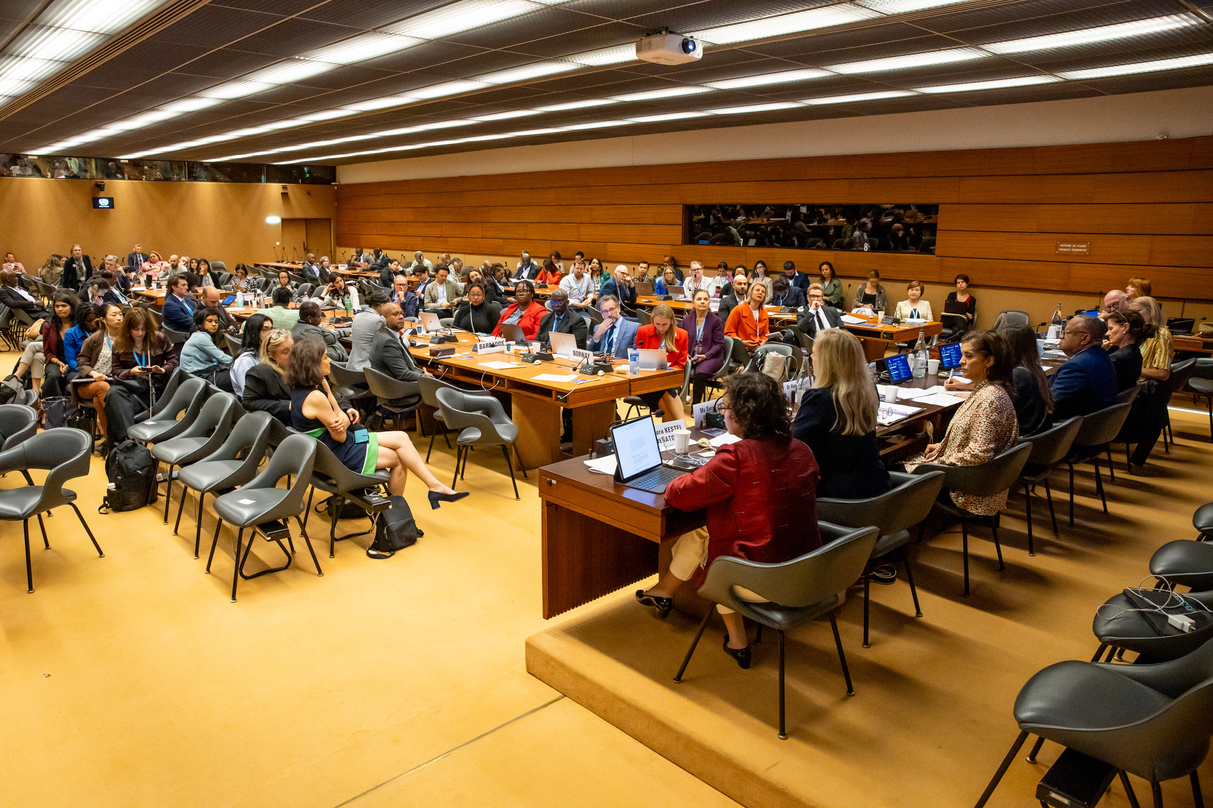 Wide view of a formal wood-panelled conference hall at the Palais des Nations filled with attendees seated in rows, listening to speakers during a high-level panel discussion.