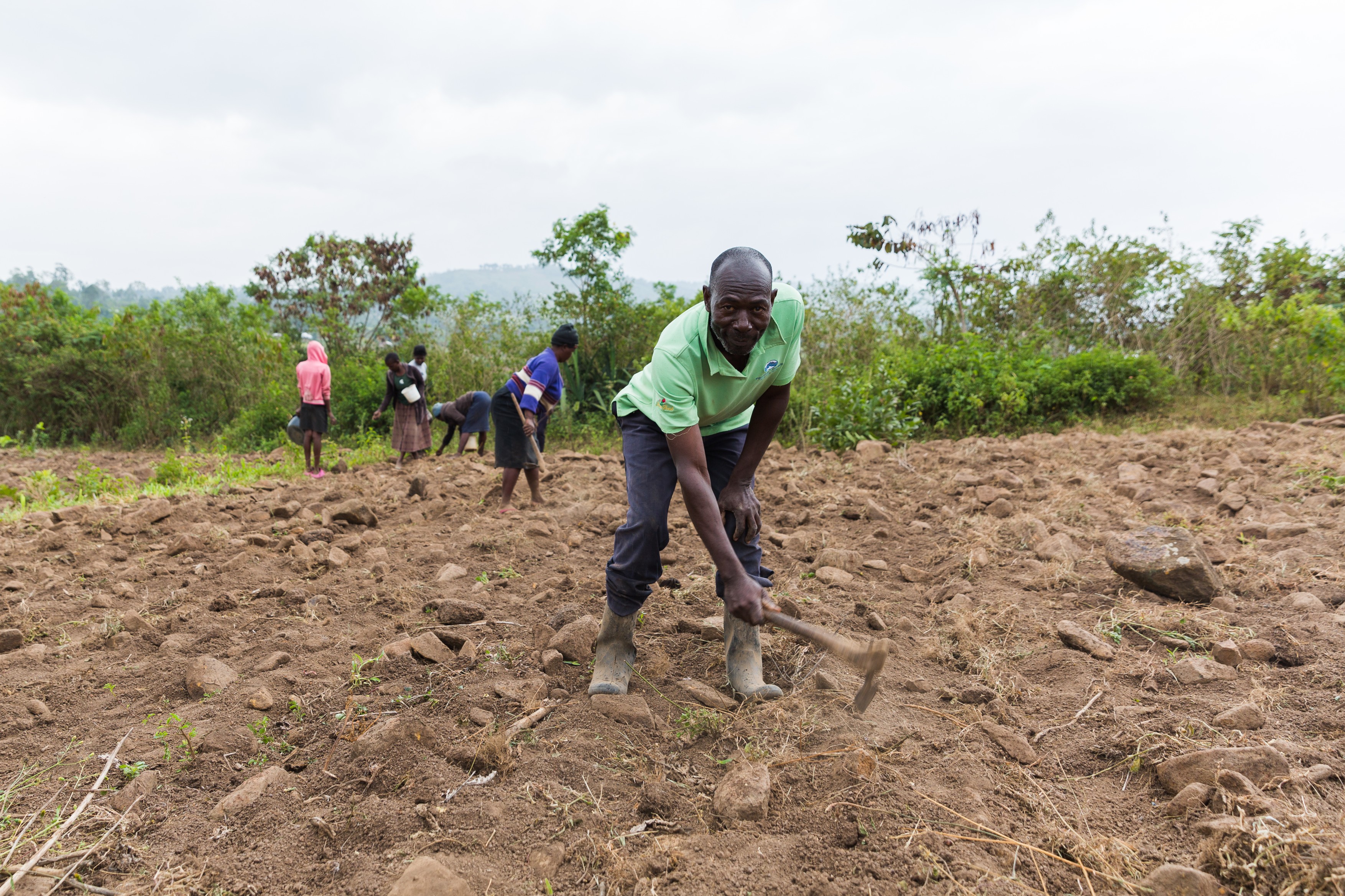 <!-- THEME DEBUG -->
<!-- THEME HOOK: 'field' -->
<!-- FILE NAME SUGGESTIONS:
   ▪️ field--node--title--news-and-events.html.twig
   ✅ field--node--title.html.twig
   ▪️ field--node--news-and-events.html.twig
   ▪️ field--title.html.twig
   ▪️ field--string.html.twig
   ▪️ field.html.twig
-->
<!-- 💡 BEGIN CUSTOM TEMPLATE OUTPUT from 'themes/custom/whokap/templates/field/field--node--title.html.twig' -->
Freedom from tobacco production in Kenya  for healthier lives
<!-- END CUSTOM TEMPLATE OUTPUT from 'themes/custom/whokap/templates/field/field--node--title.html.twig' -->