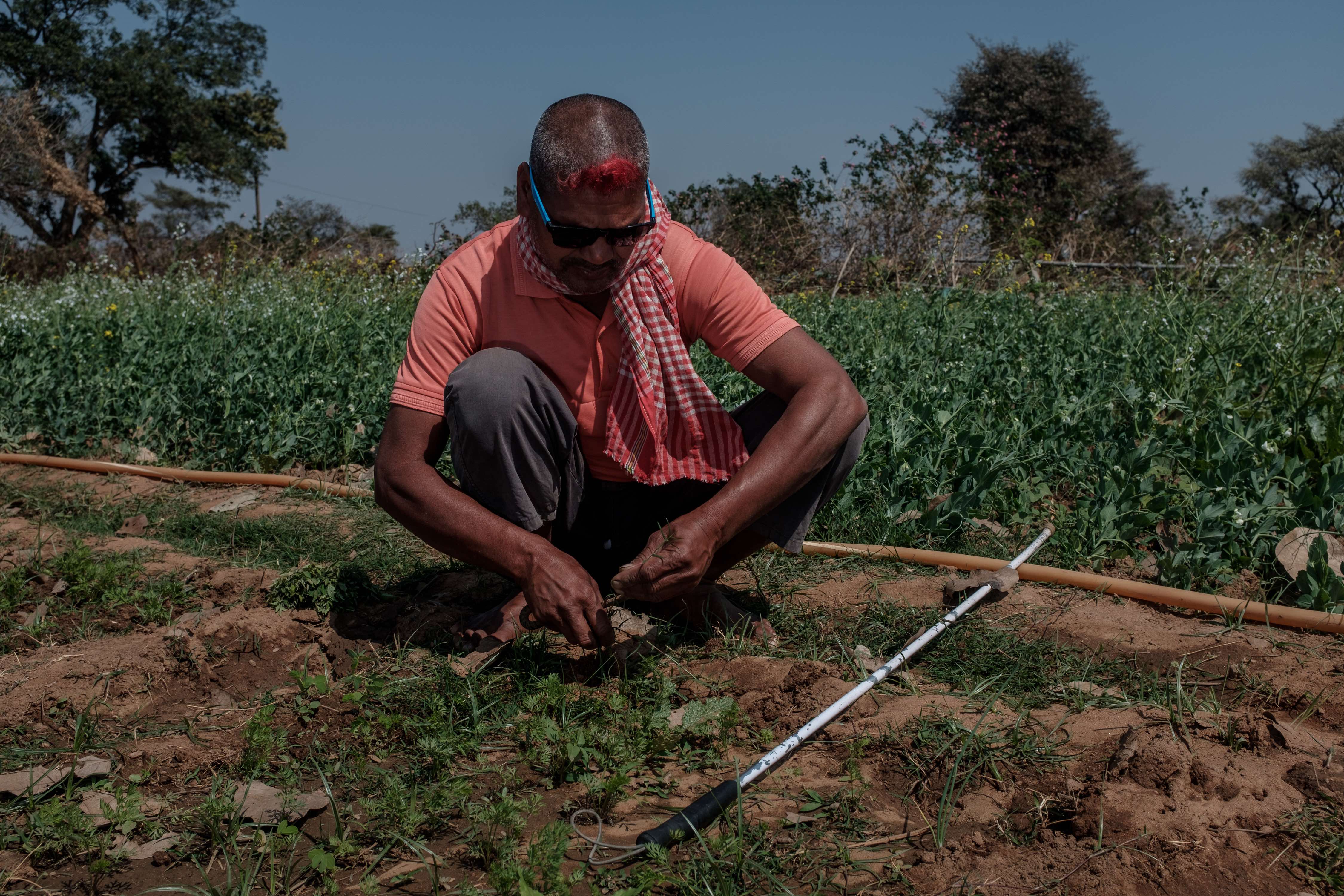 <!-- THEME DEBUG -->
<!-- THEME HOOK: 'field' -->
<!-- FILE NAME SUGGESTIONS:
   ▪️ field--node--title--pin.html.twig
   ✅ field--node--title.html.twig
   ▪️ field--node--pin.html.twig
   ▪️ field--title.html.twig
   ▪️ field--string.html.twig
   ▪️ field.html.twig
-->
<!-- 💡 BEGIN CUSTOM TEMPLATE OUTPUT from 'themes/custom/whokap/templates/field/field--node--title.html.twig' -->
Report of the Regional Consultation on Multisectoral policies for prevention and control of noncommunicable diseases in the South East Asian Region
<!-- END CUSTOM TEMPLATE OUTPUT from 'themes/custom/whokap/templates/field/field--node--title.html.twig' -->