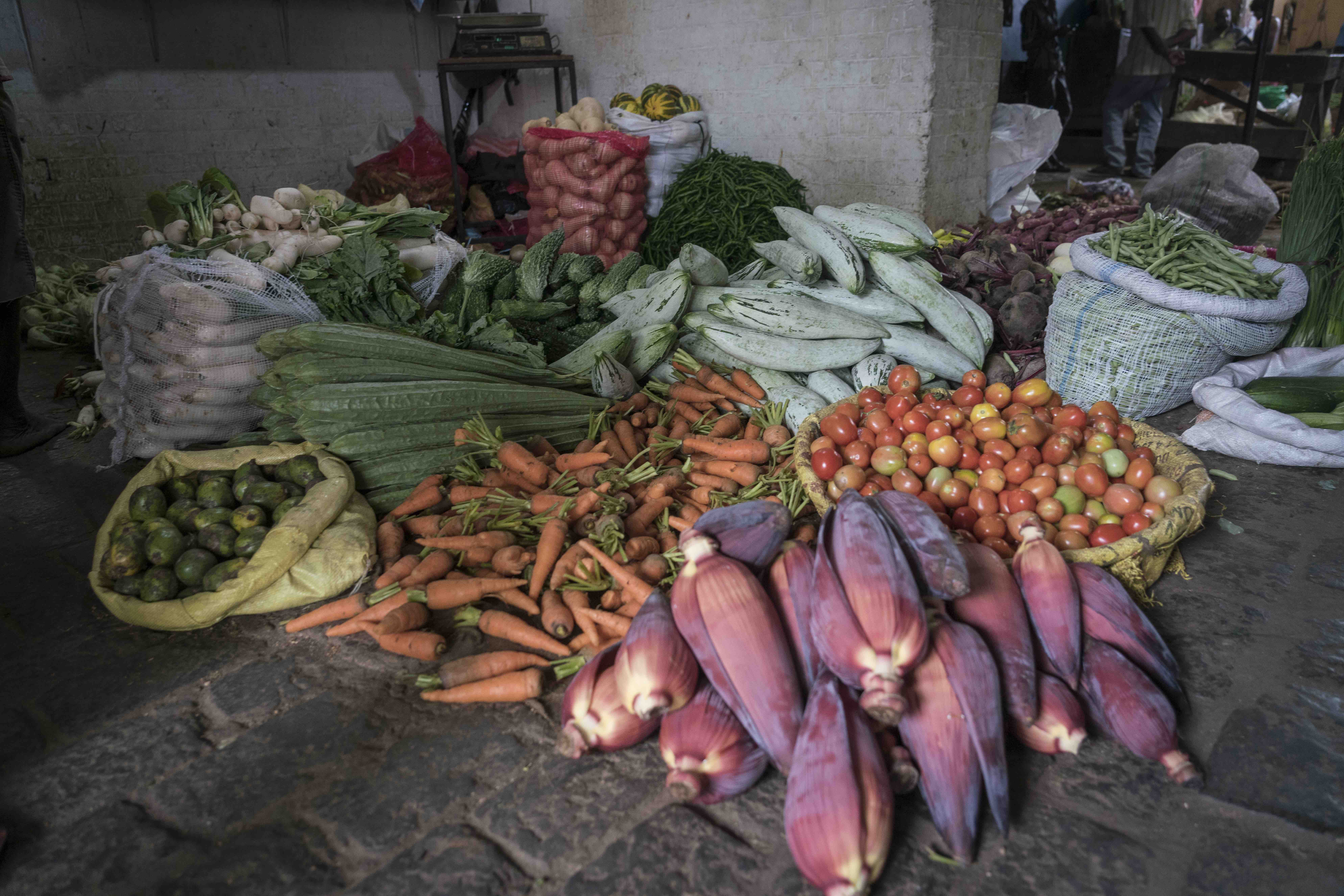 <!-- THEME DEBUG -->
<!-- THEME HOOK: 'field' -->
<!-- FILE NAME SUGGESTIONS:
   ▪️ field--node--title--pin.html.twig
   ✅ field--node--title.html.twig
   ▪️ field--node--pin.html.twig
   ▪️ field--title.html.twig
   ▪️ field--string.html.twig
   ▪️ field.html.twig
-->
<!-- 💡 BEGIN CUSTOM TEMPLATE OUTPUT from 'themes/custom/whokap/templates/field/field--node--title.html.twig' -->
Nutrition Knowledge Hub
<!-- END CUSTOM TEMPLATE OUTPUT from 'themes/custom/whokap/templates/field/field--node--title.html.twig' -->