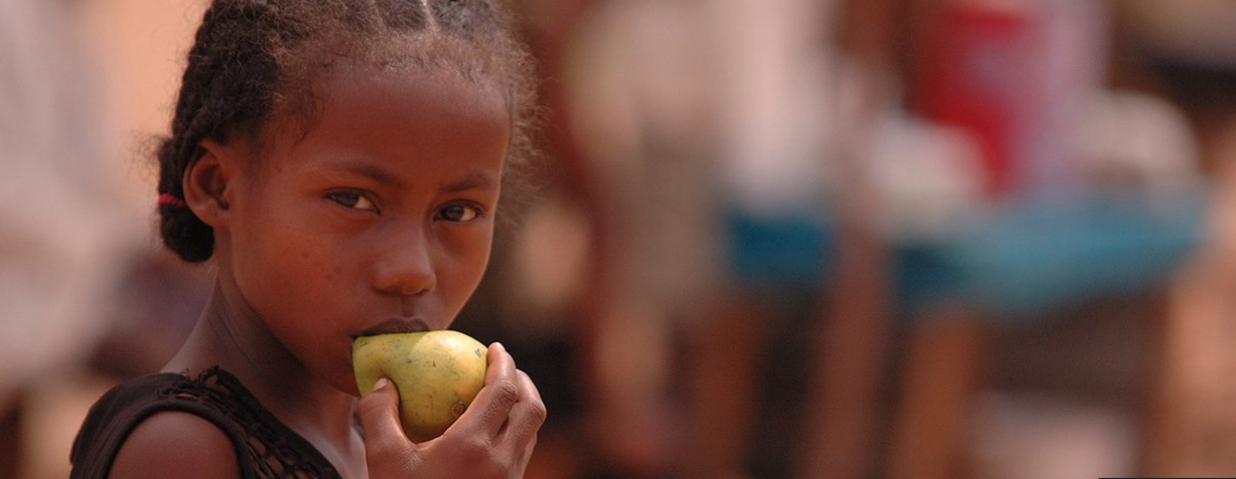 <!-- THEME DEBUG -->
<!-- THEME HOOK: 'field' -->
<!-- FILE NAME SUGGESTIONS:
   ▪️ field--node--title--news-and-events.html.twig
   ✅ field--node--title.html.twig
   ▪️ field--node--news-and-events.html.twig
   ▪️ field--title.html.twig
   ▪️ field--string.html.twig
   ▪️ field.html.twig
-->
<!-- 💡 BEGIN CUSTOM TEMPLATE OUTPUT from 'themes/custom/whokap/templates/field/field--node--title.html.twig' -->
WHO urges governments to promote healthy food in public facilities
<!-- END CUSTOM TEMPLATE OUTPUT from 'themes/custom/whokap/templates/field/field--node--title.html.twig' -->