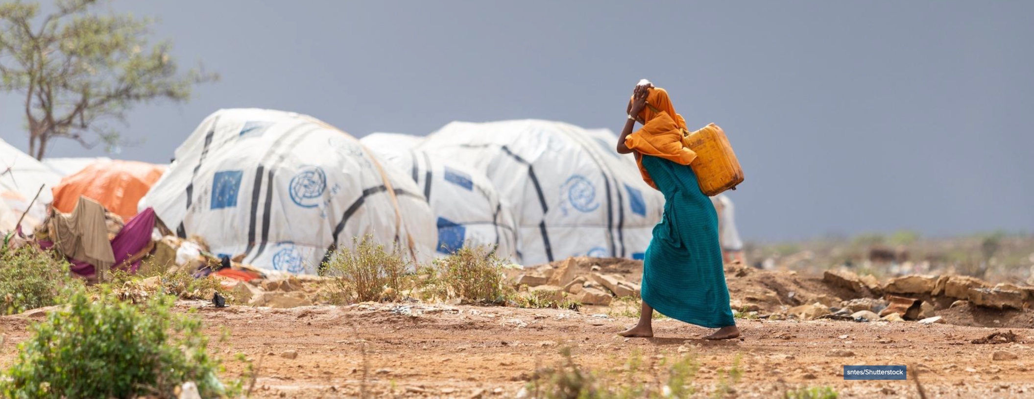 <!-- THEME DEBUG -->
<!-- THEME HOOK: 'field' -->
<!-- FILE NAME SUGGESTIONS:
   ▪️ field--node--title--pin.html.twig
   ✅ field--node--title.html.twig
   ▪️ field--node--pin.html.twig
   ▪️ field--title.html.twig
   ▪️ field--string.html.twig
   ▪️ field.html.twig
-->
<!-- 💡 BEGIN CUSTOM TEMPLATE OUTPUT from 'themes/custom/whokap/templates/field/field--node--title.html.twig' -->
Neglected and in Crisis: NCDs as a Priority in Humanitarian Settings
<!-- END CUSTOM TEMPLATE OUTPUT from 'themes/custom/whokap/templates/field/field--node--title.html.twig' -->