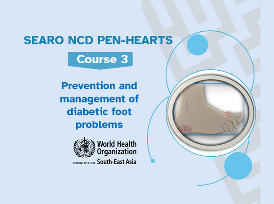 <!-- THEME DEBUG -->
<!-- THEME HOOK: 'field' -->
<!-- FILE NAME SUGGESTIONS:
   ▪️ field--node--title--pin.html.twig
   ✅ field--node--title.html.twig
   ▪️ field--node--pin.html.twig
   ▪️ field--title.html.twig
   ▪️ field--string.html.twig
   ▪️ field.html.twig
-->
<!-- 💡 BEGIN CUSTOM TEMPLATE OUTPUT from 'themes/custom/whokap/templates/field/field--node--title.html.twig' -->
Prevention and management of diabetic foot problems (Online Course)
<!-- END CUSTOM TEMPLATE OUTPUT from 'themes/custom/whokap/templates/field/field--node--title.html.twig' -->