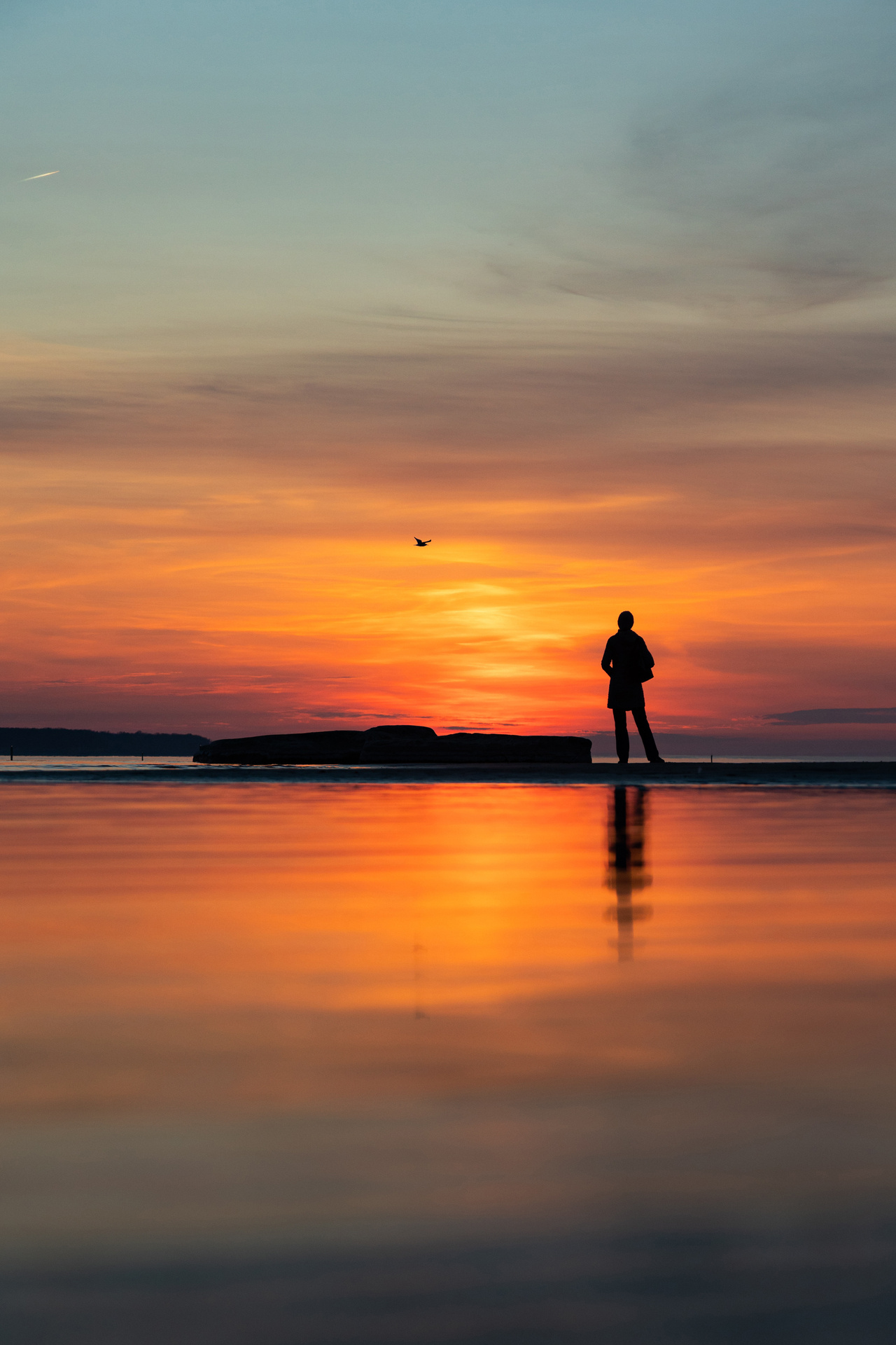 <!-- THEME DEBUG -->
<!-- THEME HOOK: 'field' -->
<!-- FILE NAME SUGGESTIONS:
   ▪️ field--node--title--pin.html.twig
   ✅ field--node--title.html.twig
   ▪️ field--node--pin.html.twig
   ▪️ field--title.html.twig
   ▪️ field--string.html.twig
   ▪️ field.html.twig
-->
<!-- 💡 BEGIN CUSTOM TEMPLATE OUTPUT from 'themes/custom/whokap/templates/field/field--node--title.html.twig' -->
Mental health financing challenges, opportunities and strategies in low- and middle-income countries: findings from the Emerald project
<!-- END CUSTOM TEMPLATE OUTPUT from 'themes/custom/whokap/templates/field/field--node--title.html.twig' -->