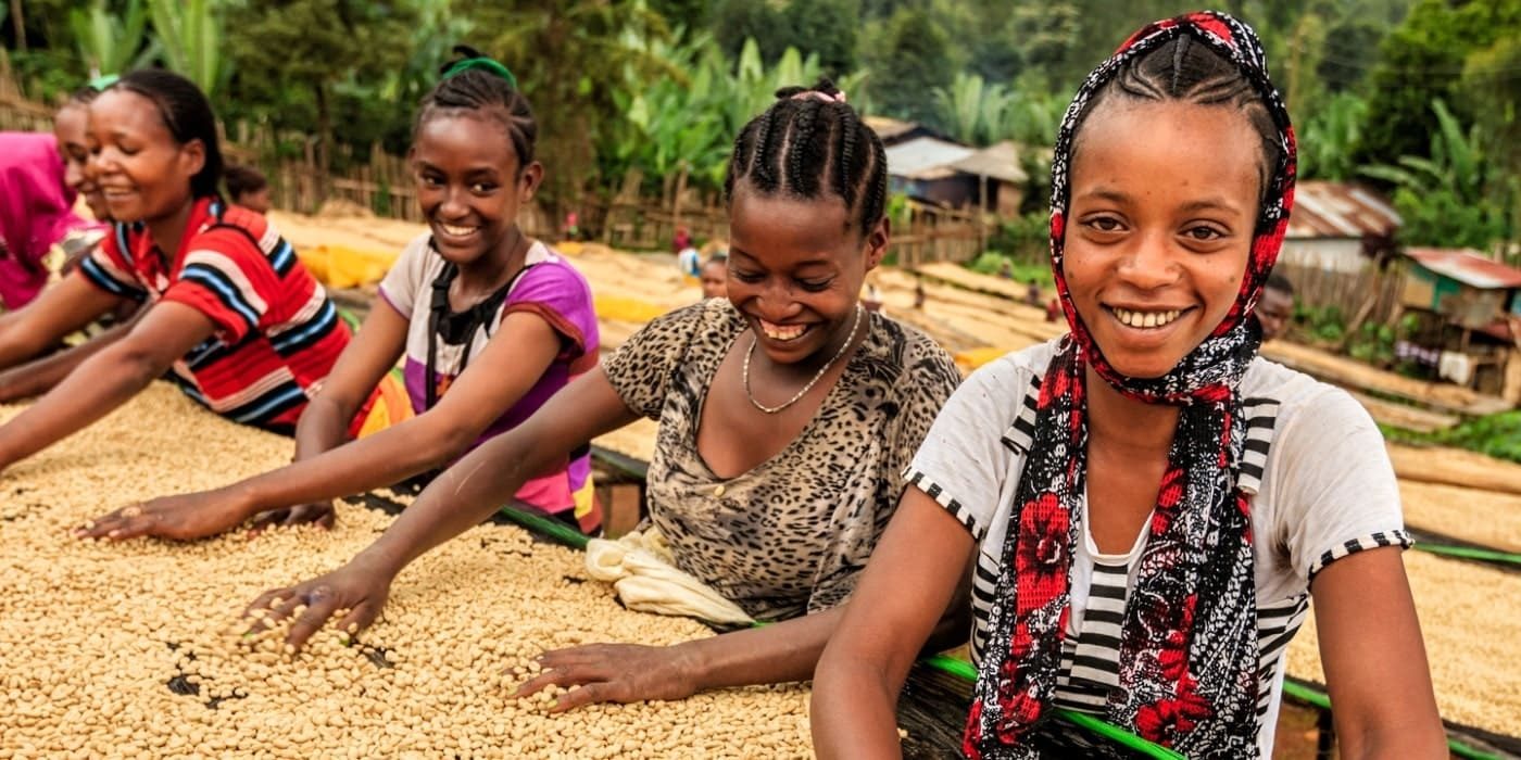 <!-- THEME DEBUG -->
<!-- THEME HOOK: 'field' -->
<!-- FILE NAME SUGGESTIONS:
   ▪️ field--node--title--news-and-events.html.twig
   ✅ field--node--title.html.twig
   ▪️ field--node--news-and-events.html.twig
   ▪️ field--title.html.twig
   ▪️ field--string.html.twig
   ▪️ field.html.twig
-->
<!-- 💡 BEGIN CUSTOM TEMPLATE OUTPUT from 'themes/custom/whokap/templates/field/field--node--title.html.twig' -->
The George Institute for Global Health, India appointed Secretariat of the Taskforce on Women and NCDs
<!-- END CUSTOM TEMPLATE OUTPUT from 'themes/custom/whokap/templates/field/field--node--title.html.twig' -->