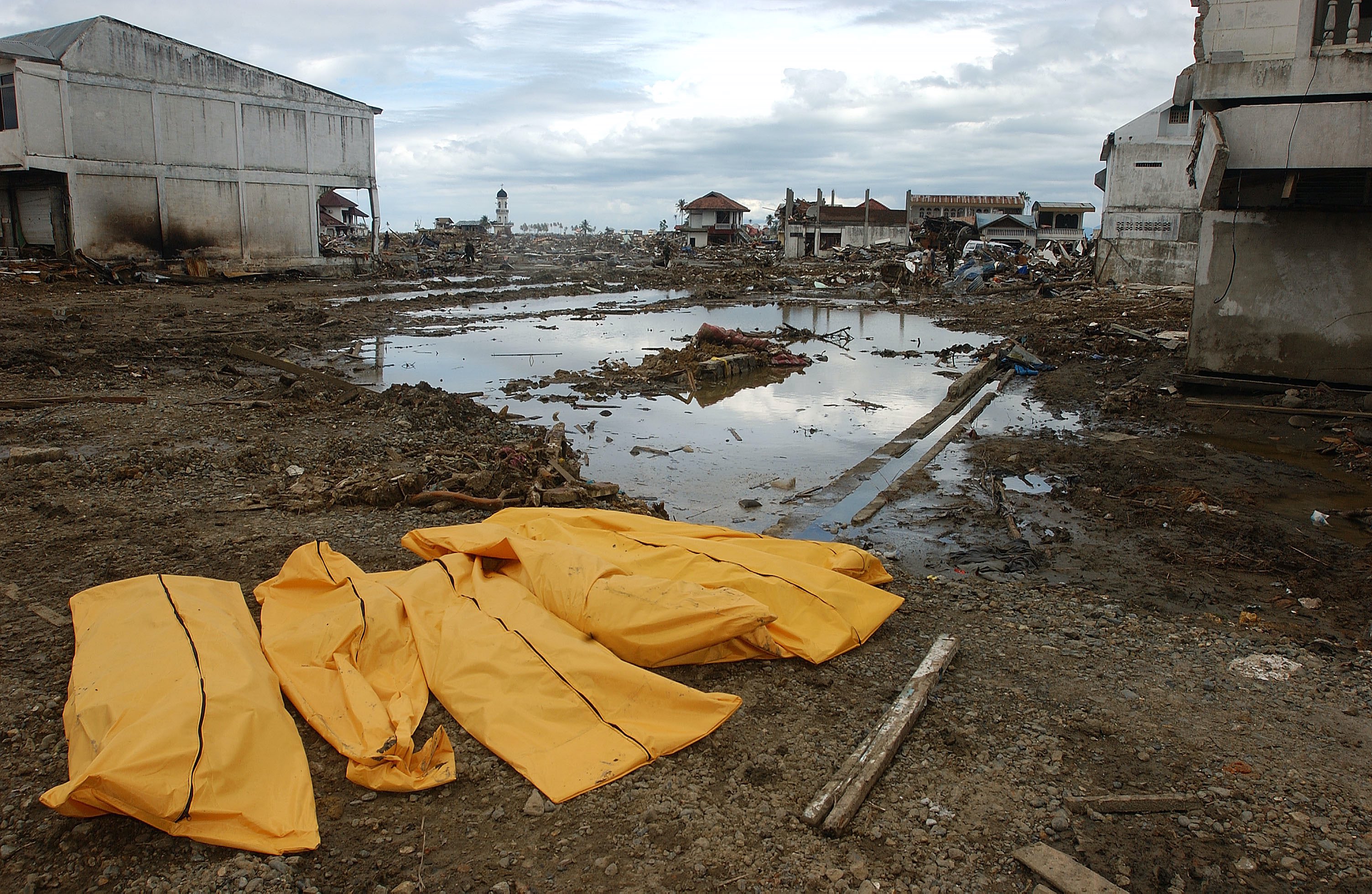 <!-- THEME DEBUG -->
<!-- THEME HOOK: 'field' -->
<!-- FILE NAME SUGGESTIONS:
   ▪️ field--node--title--pin.html.twig
   ✅ field--node--title.html.twig
   ▪️ field--node--pin.html.twig
   ▪️ field--title.html.twig
   ▪️ field--string.html.twig
   ▪️ field.html.twig
-->
<!-- 💡 BEGIN CUSTOM TEMPLATE OUTPUT from 'themes/custom/whokap/templates/field/field--node--title.html.twig' -->
WHO Mortality Database
<!-- END CUSTOM TEMPLATE OUTPUT from 'themes/custom/whokap/templates/field/field--node--title.html.twig' -->