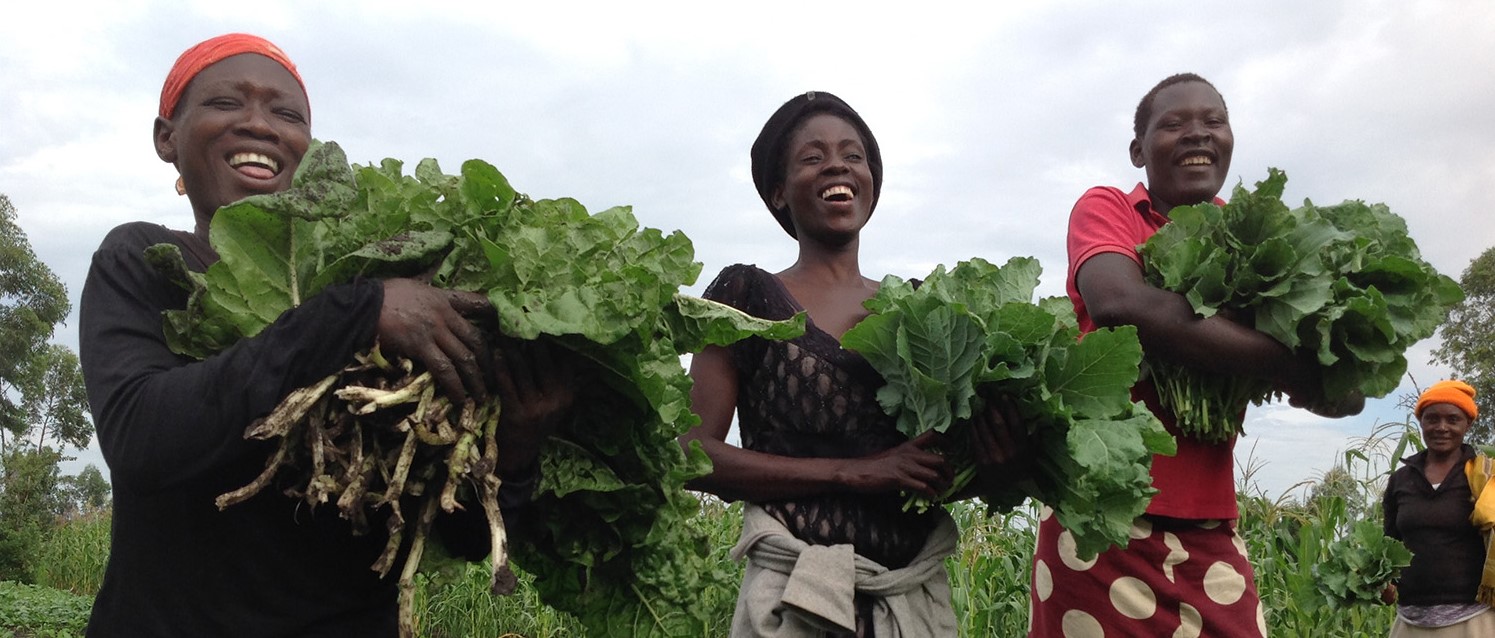 <!-- THEME DEBUG -->
<!-- THEME HOOK: 'field' -->
<!-- FILE NAME SUGGESTIONS:
   ▪️ field--node--title--news-and-events.html.twig
   ✅ field--node--title.html.twig
   ▪️ field--node--news-and-events.html.twig
   ▪️ field--title.html.twig
   ▪️ field--string.html.twig
   ▪️ field.html.twig
-->
<!-- 💡 BEGIN CUSTOM TEMPLATE OUTPUT from 'themes/custom/whokap/templates/field/field--node--title.html.twig' -->
Feminist, rights-based solutions to address NCDs: Scaling-up grassroots innovations to create equitable solutions for NCD prevention and control.
<!-- END CUSTOM TEMPLATE OUTPUT from 'themes/custom/whokap/templates/field/field--node--title.html.twig' -->